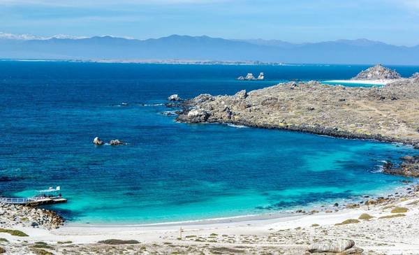 Furor con la joya marina de Chile con ballenas y pingüinos
