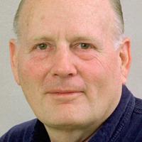 Orchids make excellent indoor plants