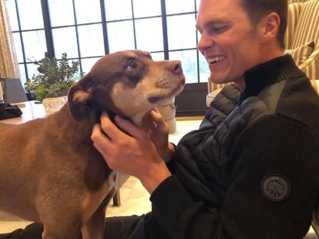 Tom Brady reveals his new dog is a clone of his beloved dead pet