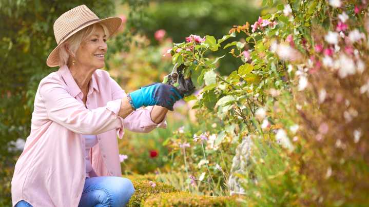 14 Useful Tools That Make Gardening In Your 50s And 60s Easier