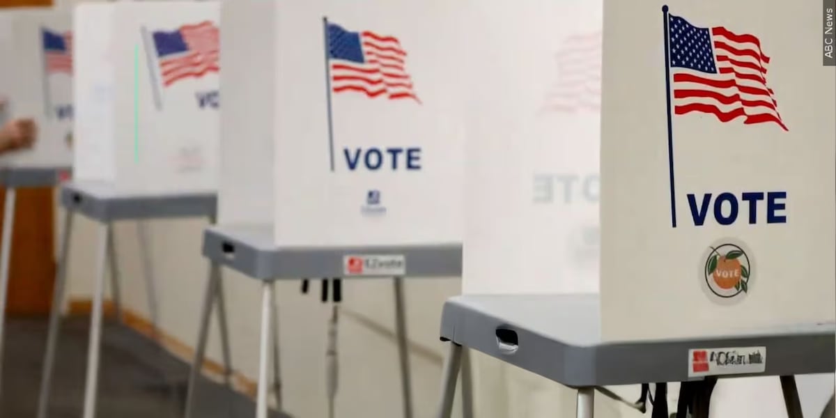 RESULTS: Winners from all 2025 Midlands municipal elections