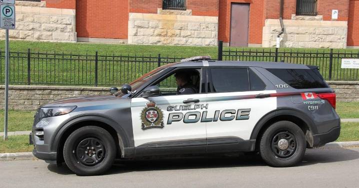 Guelph teen earns assault charges after spitting on officers