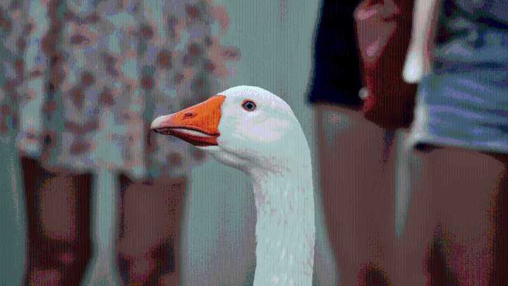 Archaeologists Found a 12,000-Year-Old Figurine of a Woman Hooking Up With a Goose