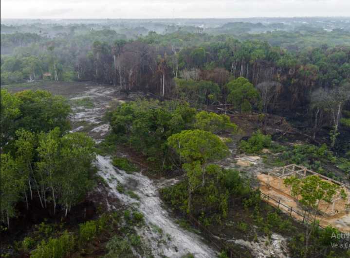 La lenta agonía de la Amazonía: el “aire acondicionado” del planeta se apaga