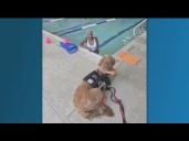 11Alive raises over $100,000 in Veterans Day telethon