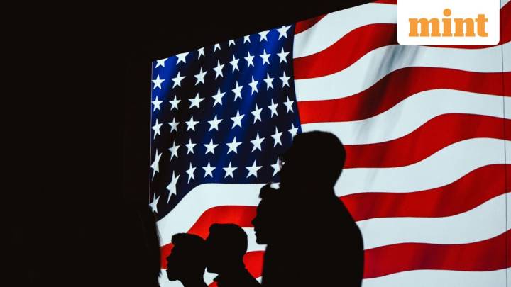 US visa application approved within a minute: Reddit user shares experience