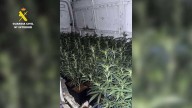 Detenidos con 124 plantas de marihuana en una furgoneta de Madrid a Escalona