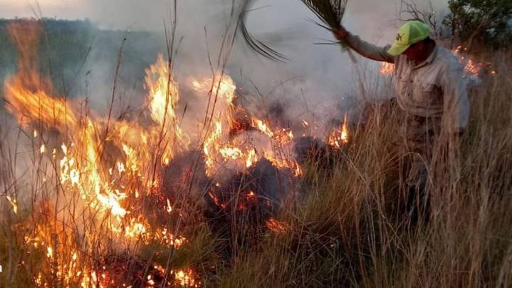 Alerta por incendios: Corrientes tiene riesgo "muy alto" de focos ígneos por condiciones críticas