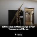 un hallazgo en 1663 marcó para siempre la historia de la ciencia y del ridículo