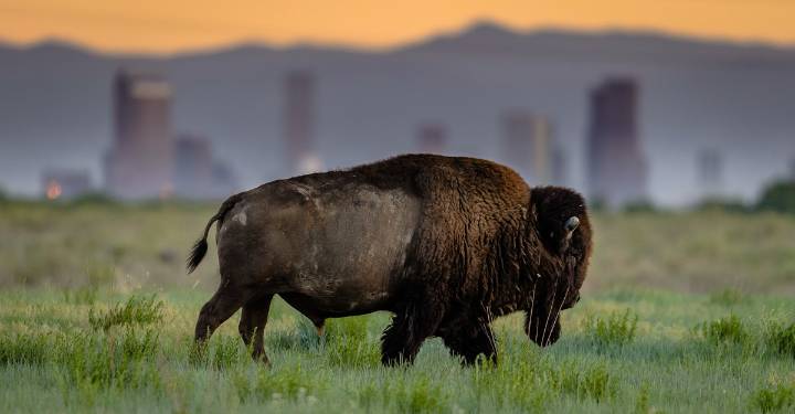 A Photo Appreciation of America’s National Wildlife Refuges