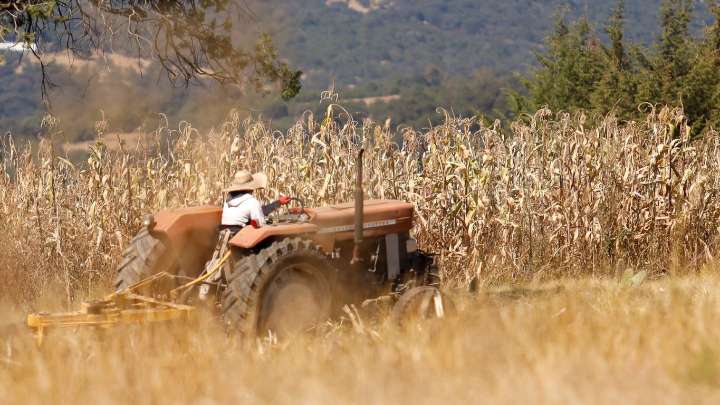 Extorsión agrícola crece 45% en Puebla; afecta más a productores de la Mixteca: UNTA