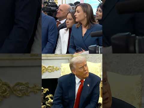 Trump Clashes With ABC Reporter Over Epstein Questions