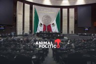 “No somos la Santa Inquisición”: Comité de Ética anticipa llamados a reflexión en lugar de sanción