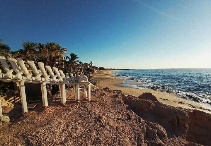 Restaurar ecosistemas es recuperar la esperanza