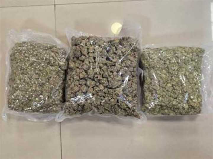 DRI nabs duo with ₹42 crore hydroponic weed