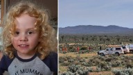 Gus Lamont: Upset and anger as SA police make difficult call to end ground search for missing toddler