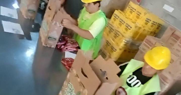 Banco de Alimentos: cajas navideñas con valor social