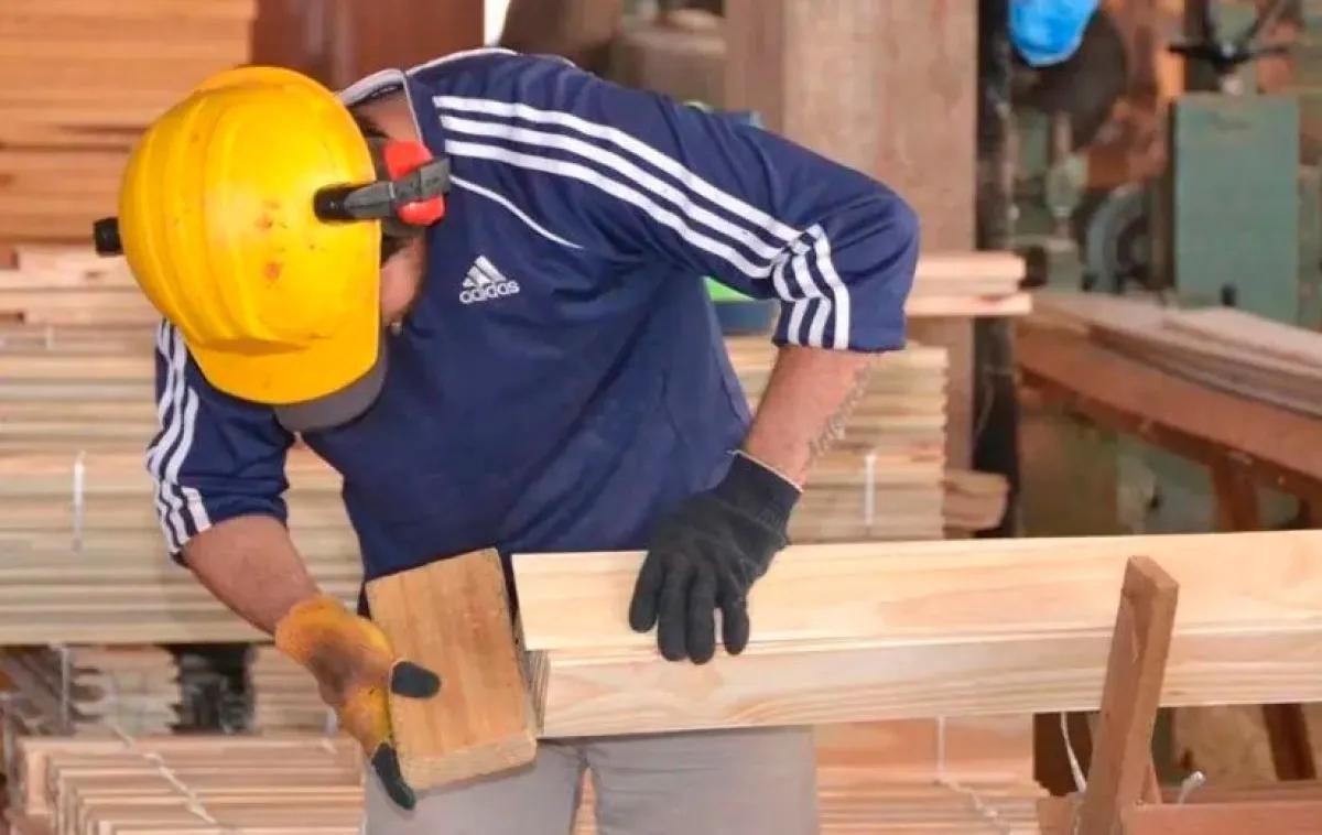 Crisis en la forestoindustria genera tensión con el sindicato en Misiones