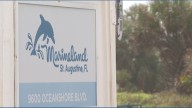 Judge reopens the bidding for sale of Marineland to include group of dolphin professionals