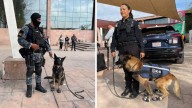 César y Bebeto se despiden del servicio; binomios caninos que marcaron la seguridad en Saltillo