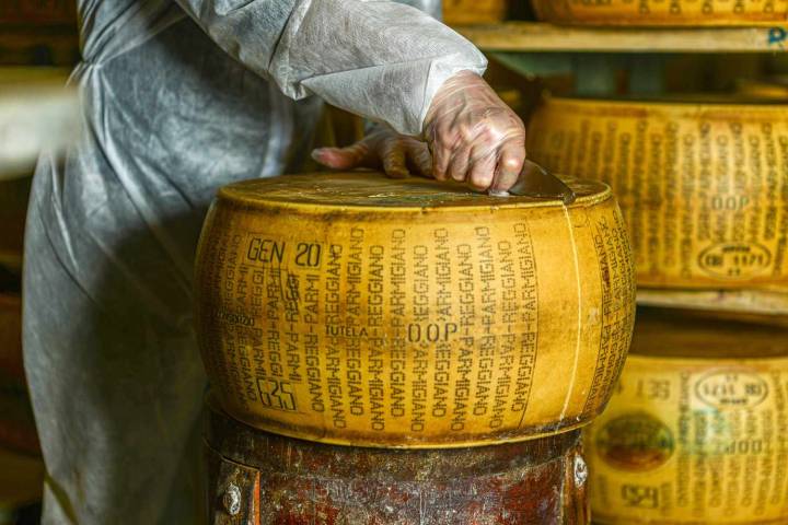 Parmigiano Reggiano Just Got Signed to a Talent Agency