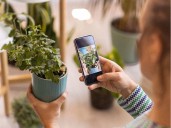 Unsure how to identify and care for your plants? Plantum app can help