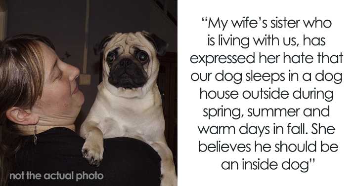 Sister Hates How Woman Treats Her Pug, Decides To Gift Him Away In Secret: “What Can We Do About It?”