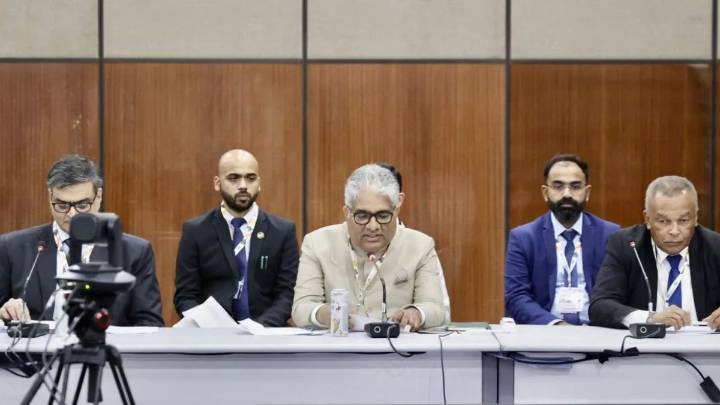 COP 30: India calls for united global action on energy security for SIDS