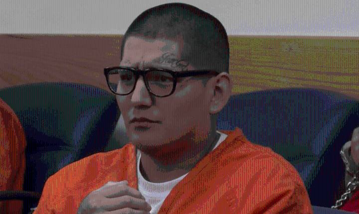 Albuquerque man pleads guilty to stabbing brother