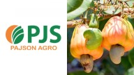 Pajson Agro India receives in-principle approval from BSE to raise funds via IPO