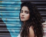 Facing harassment online, actress Anupama Parameswaran takes legal action against 20