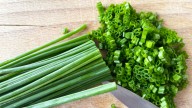 This Chef Is Cutting Chives Every Day Until Reddit Says They're Perfect