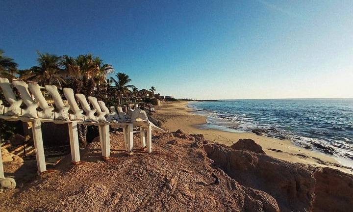 El Foro Mar de Cortés afirma que restaurar ecosistemas es también recuperar la “esperanza”