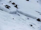 Recent avalanche highlights Utah’s risk despite low snow levels