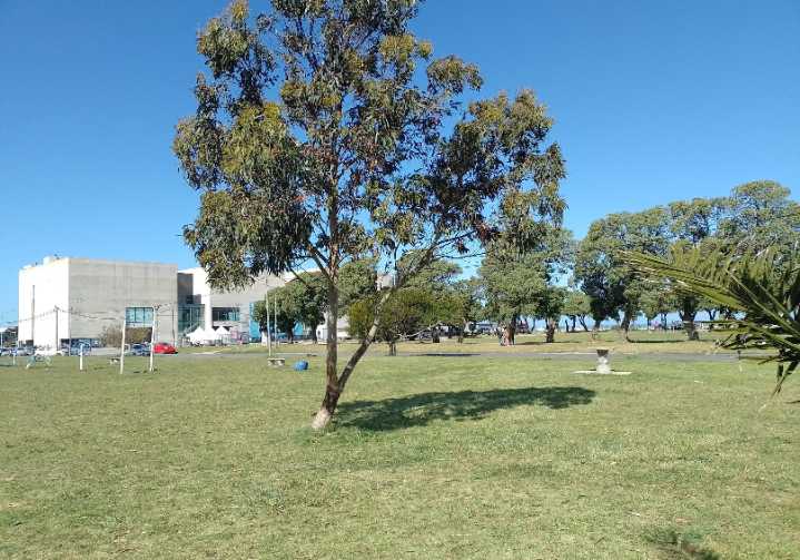 Acción Marplatense pide que la “Canchita de los Bomberos” sea definida como plaza