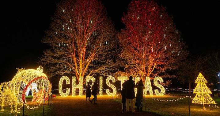 The winter walk with Christmas market and floating lights worth every second of journey from London