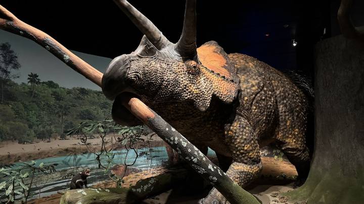 New exhibition explores dinosaur mass extinction