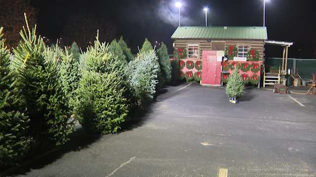 Martin's Christmas Tree Lot in Jeffersonville opens for its 57th season
