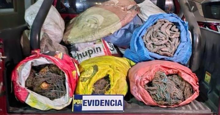 Detienen a dos sujetos por robo de cobre: tenían más de una tonelada del material