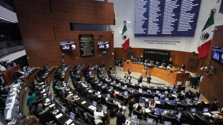 Llega al Senado la primera renuncia de un juez electo en la reforma judicial