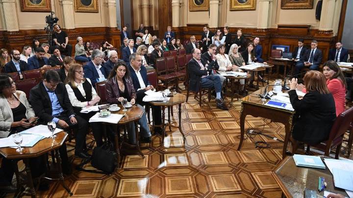 El Senado ratificó el proyecto que limita los DNUs presidenciales, aunque el peronismo puso en duda su postura