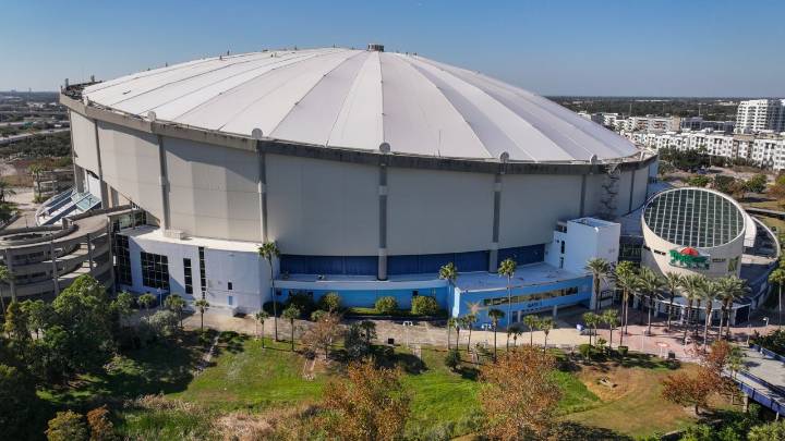 St. Pete leaders say Tropicana Field roof installation done