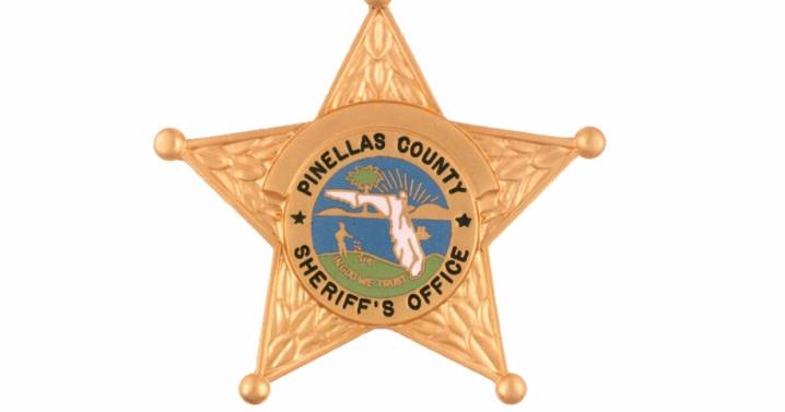 Woman arrested for driving 91 in a 35 mph zone: Pinellas County deputies