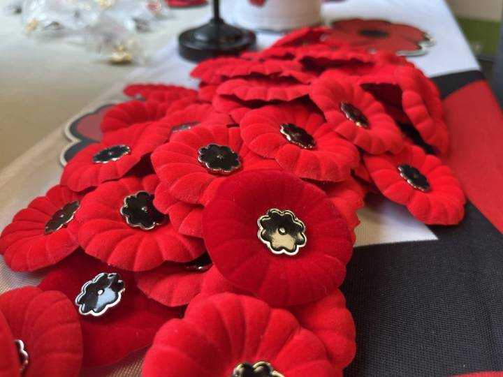 Poppy campaign underway in Montreal ahead of Remembrance Day
