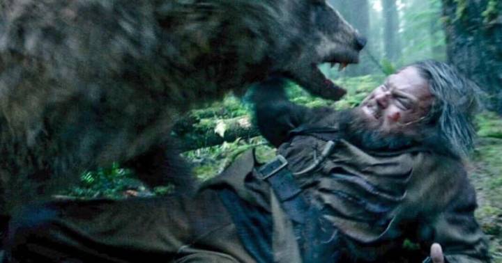 'Like a dog shakes a rat': Survivors of grizzly attacks detail close encounters