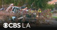 Fallen tree kills driver in San Fernando Valley roadway
