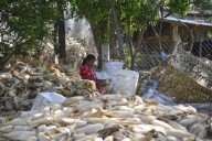 Volver los ojos al campo