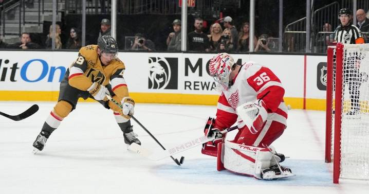 Schmid makes 24 saves, Barbashev scores in Golden Knights' 1