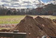 Barrington Police: Unauthorized clearing of woods at Haines Park