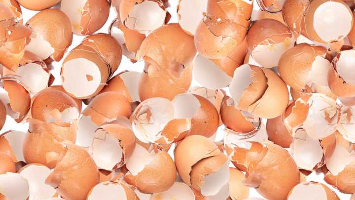 How To Clean Your Kitchen Using Leftover Eggshells